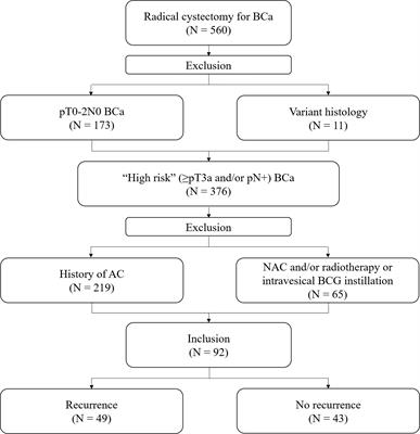 Prognostic Role of Programmed Death Ligand-1 on Tumor-Infiltrating Immune Cells in “High-Risk” Patients Following Radical Cystectomy: A Retrospective Cohort Study